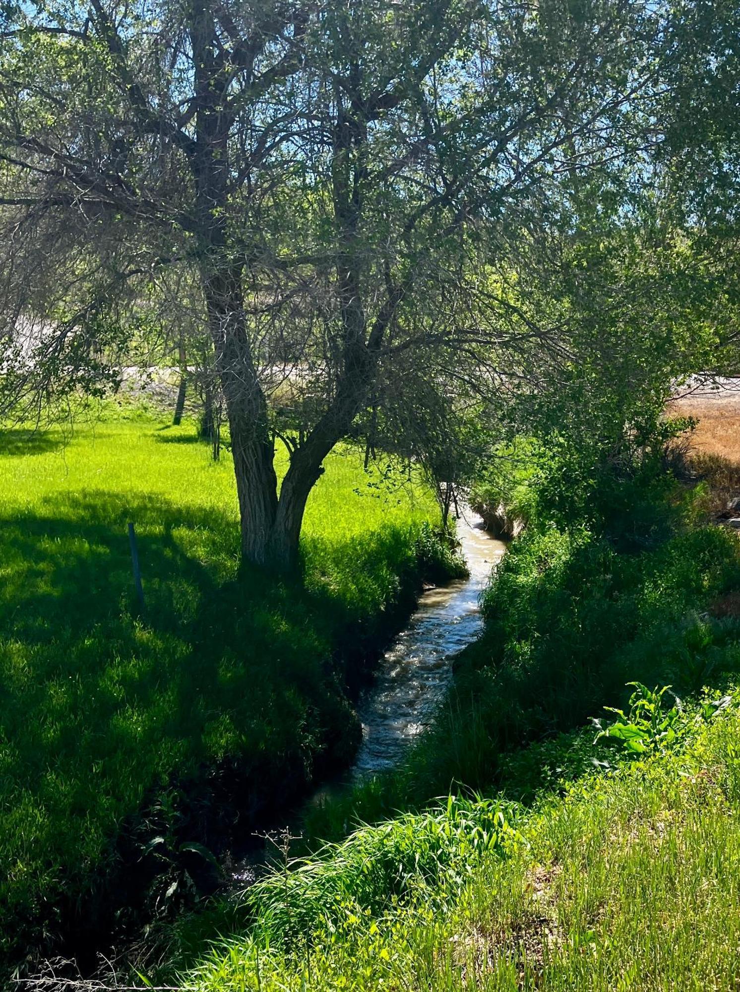Let'S Go ! Fisherman, Families, Pools One Minute From Your Door, Comfort, Location Perfect, Amenity-Rich, Pup Friendly, Discover An Exceptional Wyoming Stay, Thermopolis River Walk Home At Hot Springs State Park, 'Where Families And Fisherman Stay' Esterno foto