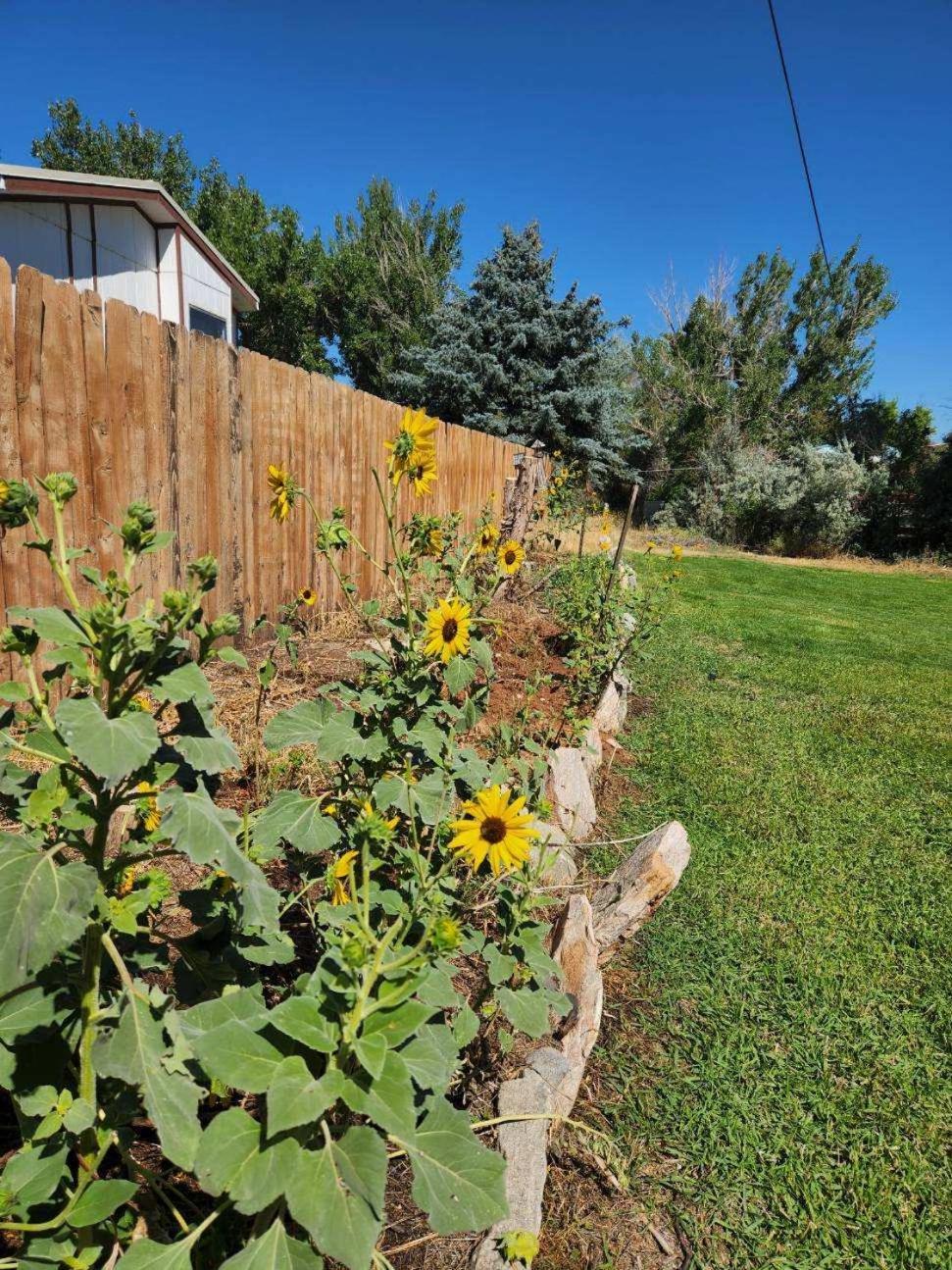 Let'S Go ! Fisherman, Families, Pools One Minute From Your Door, Comfort, Location Perfect, Amenity-Rich, Pup Friendly, Discover An Exceptional Wyoming Stay, Thermopolis River Walk Home At Hot Springs State Park, 'Where Families And Fisherman Stay' Esterno foto